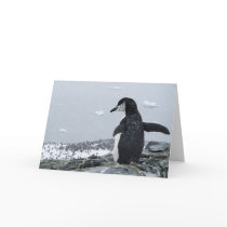 Penguinzilla