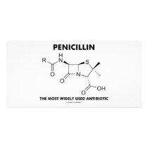 Penicillin Most Widely Used Antibiotic (Chemistry)