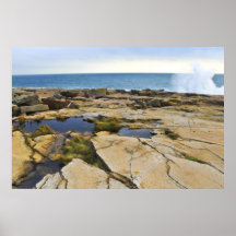 Péninsule de Schoodic Poster