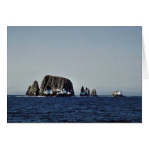 Péninsule d'îles de Semidi, île du sud, Alaska Uni Cartes De Vœux