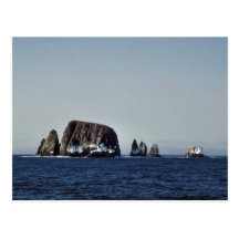 Péninsule d'îles de Semidi, île du sud, Alaska Uni Carte Postale