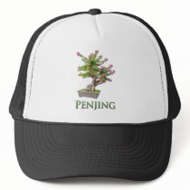 Penjing