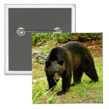 Pennsylvania Black Bear Pinback Buttons