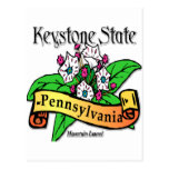Pennsylvania Keystone State Mountain Laurel Post Cards