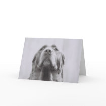 Penny Greeting Cards