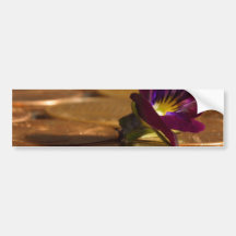 Penny Money Bumper Stickers