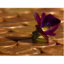 Penny Money Photo Cutouts
