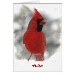 Pensée cardinale à vous carte