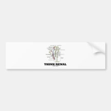 Pensez rénal (le néphron de rein) adhésif pour voiture