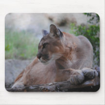 Pensive Puma Mousepads