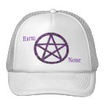 Pentacles: Violet Hat