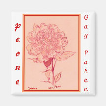 Peone Gay Paree by S Ambrose Magnets