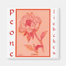Peone Liebchen by S Ambrose Refrigerator Magnets
