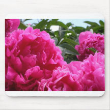 Peonies Mousepads