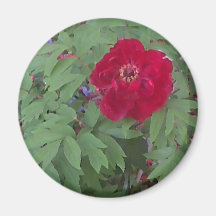 Peony and Blue Flowers Magnets