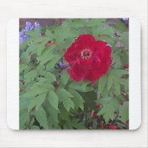 Peony and Blue Flowers Mouse Mats
