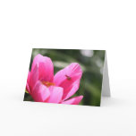 Peony "Chameleon" Greeting Cards