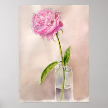 Peony Flower Still Life in Watercolor Posters