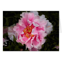 Peony in Full Cards