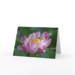 Peony "Pink Spritzer" Greeting Cards