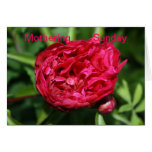 Peony Rose Mothering Sunday Card