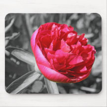 peony rose mouse pad