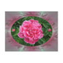 Peony w/buds ~ postcard