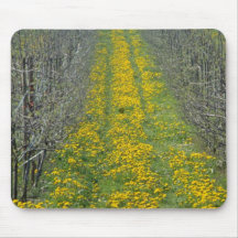 pépinière jaune au printemps avec des pissenlits tapis de souris
