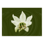 Pepper flower abstract ~ ATC Business Card Templates