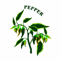 Pepper green plant graphic with word pepper photo sculptures