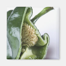 pepper magnet