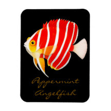 Peppermint Angelfish Premium Flexi Magnet