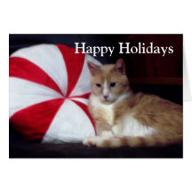 Peppermint Cat Holiday Greeting Card