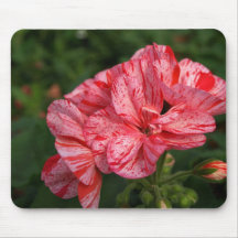 peppermint Geranium mousepad