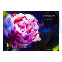 Peppermint Rose.jpg Card