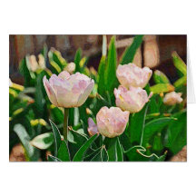 Peppermint Tulips (Impasto) Greeting Cards