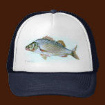 Perch hats