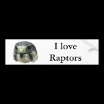 Peregrine Falcon bumper stickers