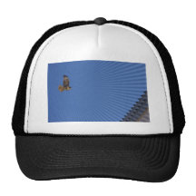 Peregrine Falcon Trucker Hat