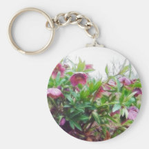 Perennial Hellebore Plants In The Garden Keychain