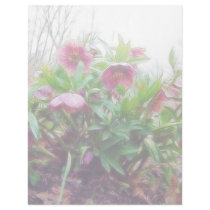 Perennial Hellebore Plants In The Garden Custom Letterhead