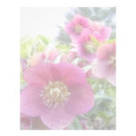 Perennial Plants - Purple Hellebore Custom Letterhead