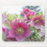 Perennial Plants - Purple Hellebore Mouse Pad