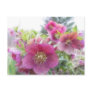 Perennial Plants - Purple Hellebore Post Cards