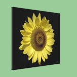 perfect bright yellow sunflower and bee in black canvas prints