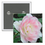 "Perfect Elegance"  CricketDiane Art, Design & Pho Pinback Button