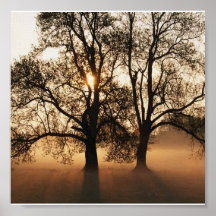 Perfect Harmony Print