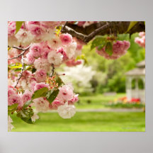 Perfect landscaping with blooming cherry tree in print