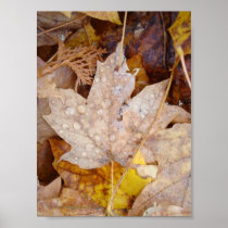 Perfect Leaf Posters