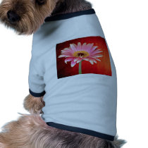 Perfect pink and yellow gerbera daisy blossom  flo pet clothes